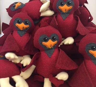 Simon's Craniofacial Differences Resources link